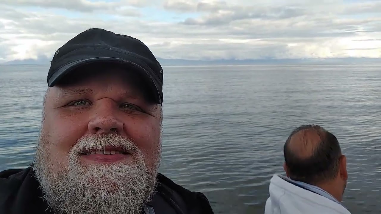 Orcas In Alaska!!!!!!!!