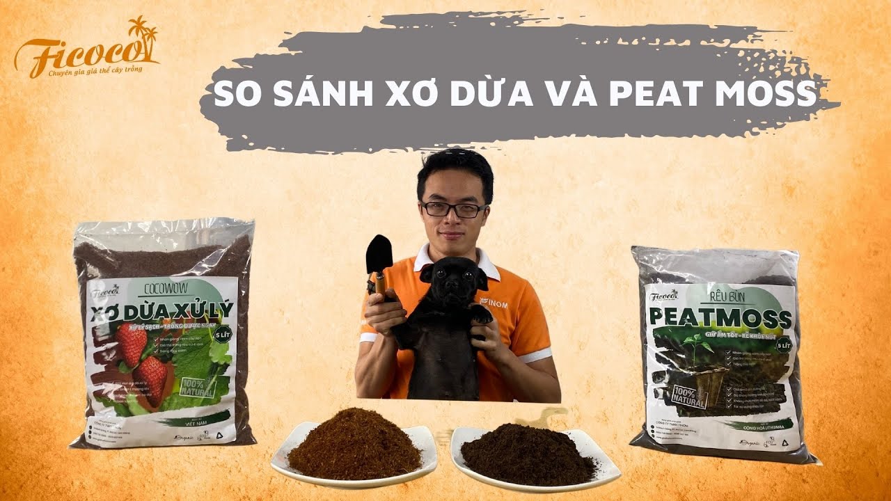SO S&Aacute;NH XƠ DỪA V&Agrave; PEAT MOSS