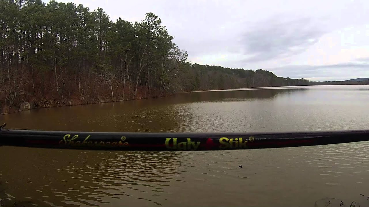 Bomber Fat Free Shad Review