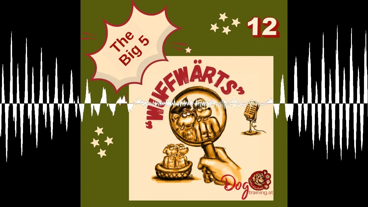 12 Die Big Five im Alltag mit Hund - Wuffwärts - Der Podcast für Hundefans mit wenig Zeit