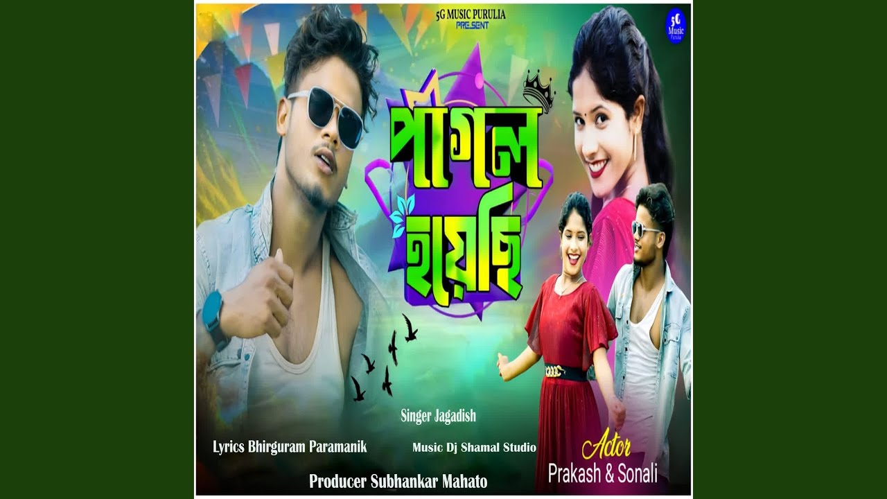 Pagal Hoyechi