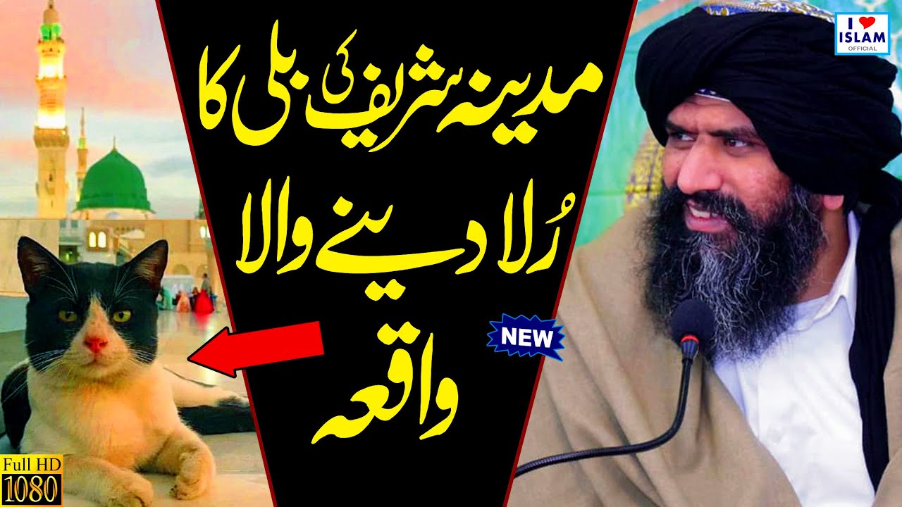Suleman Misbahi New Bayan 2020 || Madina ki Billi ka Waqia || Very Emotional Bayan