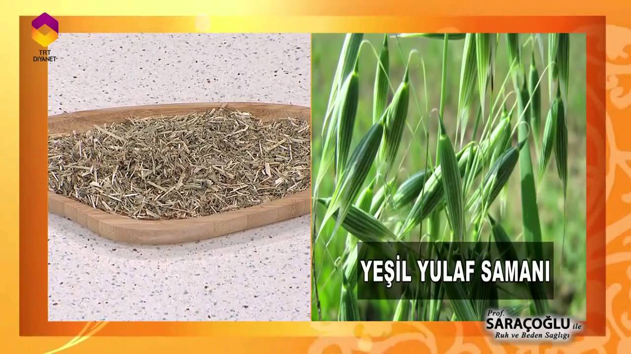 Tıbbi Bitkiler - Yulaf Samanı - DİYANET TV