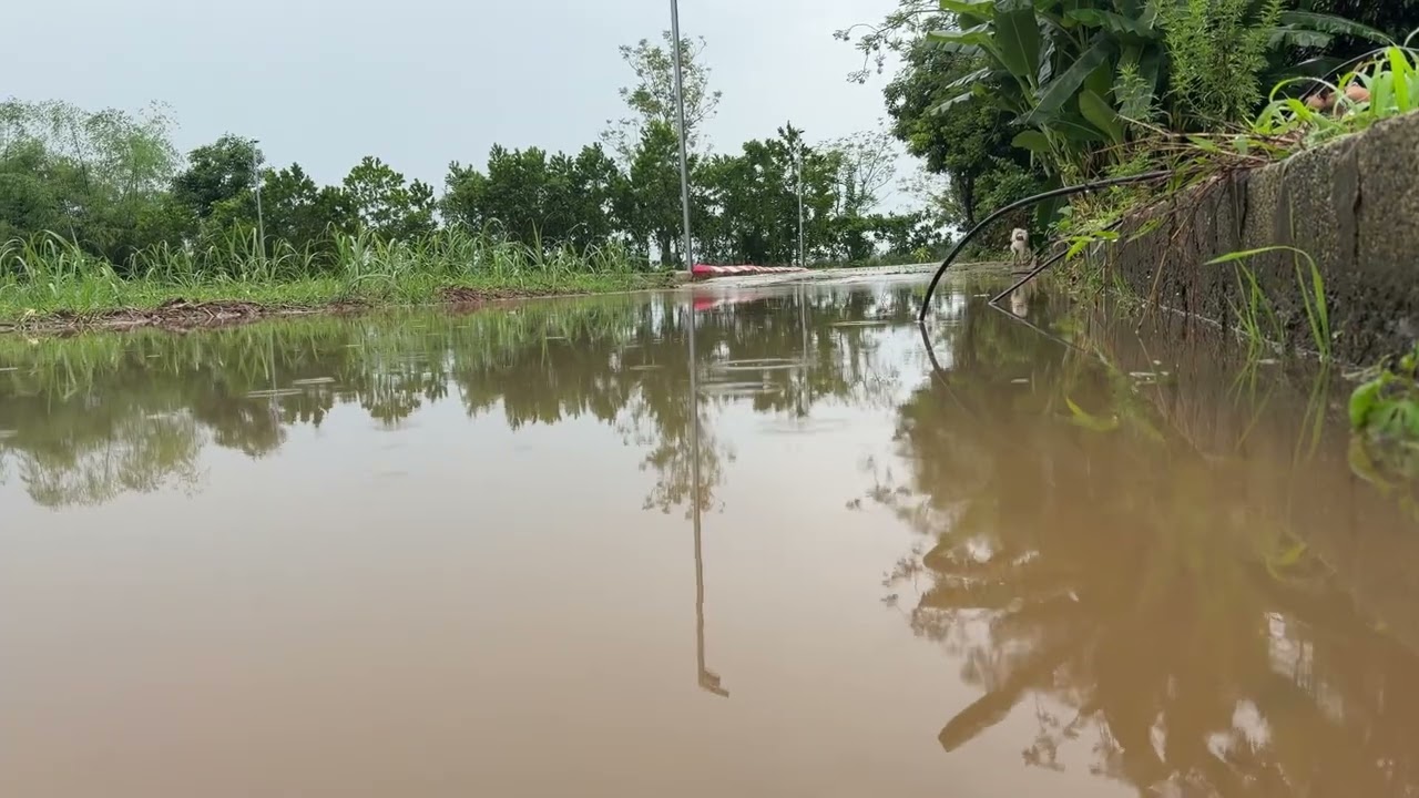 My hometown during the flood season #rurallife, #villagelife, #VietnameseCountryside