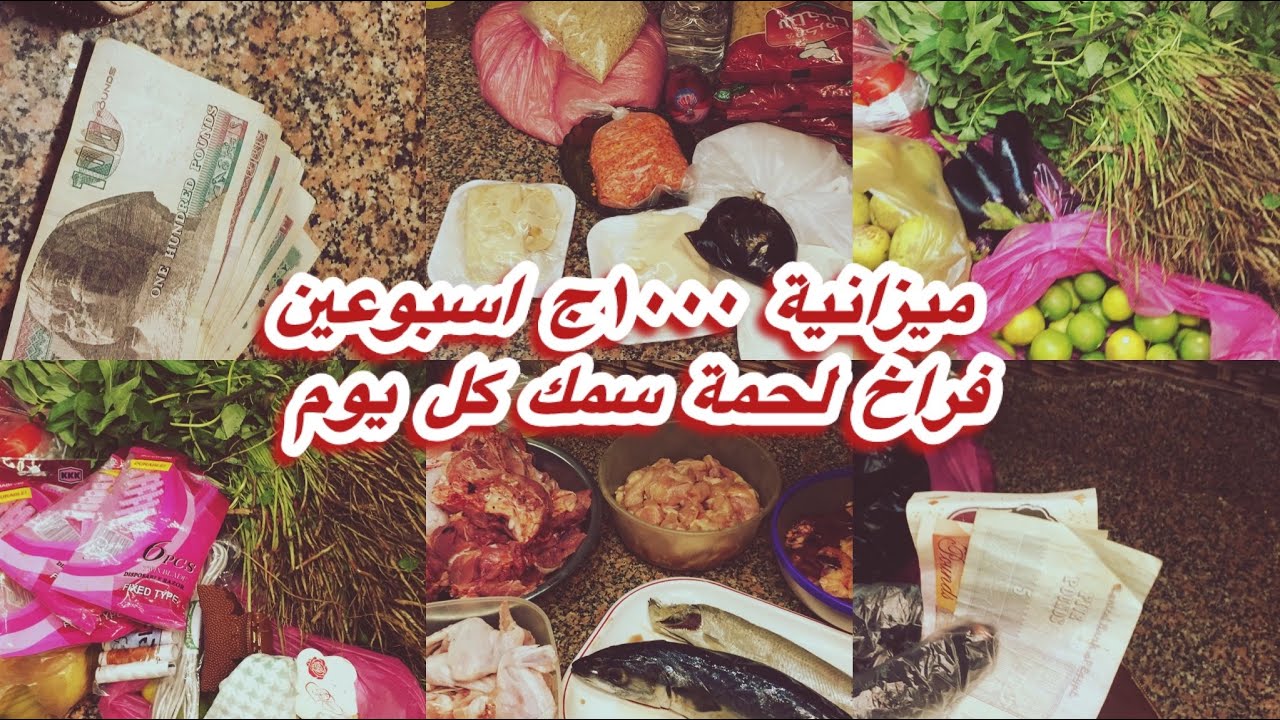 ميزانية ١٠٠٠ج عملي بالمشتريات 👌💯لحوم اسبوعين وخضار وفاكهة وفطار وخزين