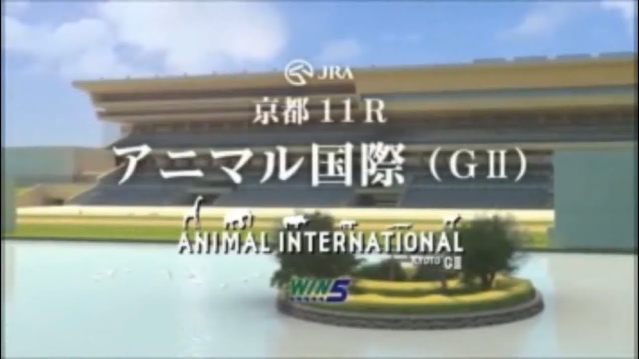 JAPAN WORLD CUP 3 〜第4レース〜