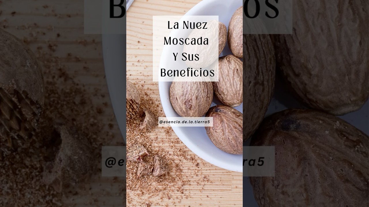 La Nuez Moscada Y Sus Beneficios