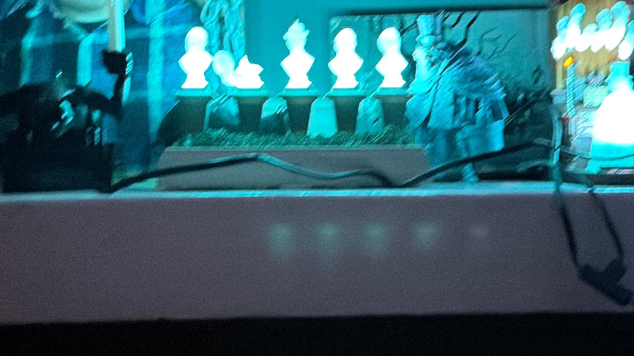 Haunted Mansion  light,sound and motion interactive scene complete set 2025. 