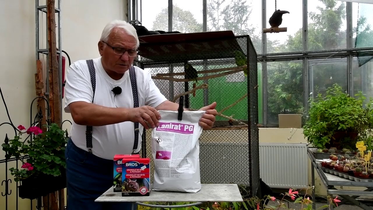 Jak na myši