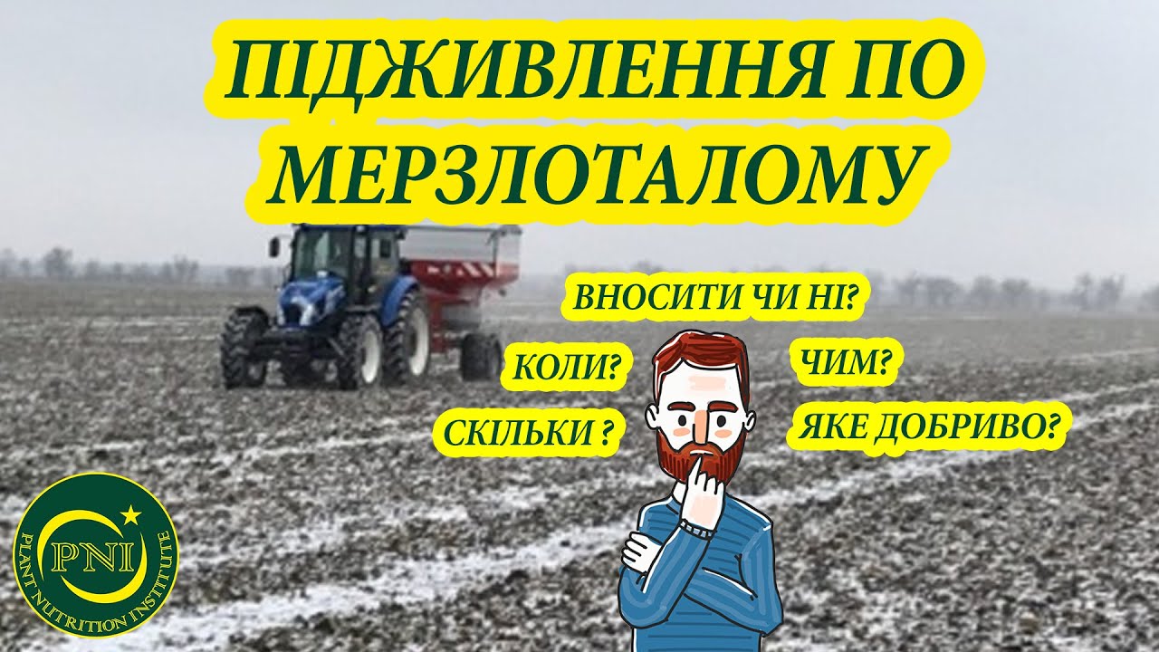 Підживлення озимих азотом по МЕРЗЛОТАЛОМУ ҐРУНТУ: ключові моменти