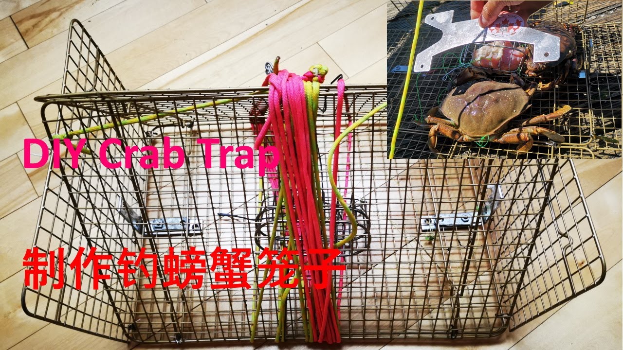 DIY 一元店买的烧烤架，做成了实用高效的钓螃蟹笼子 crab trap (Simple way) - how to make your own crab trap: 如何制作钓螃蟹笼子 (2021）