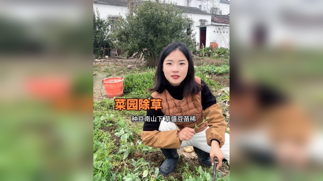 如果你有一块田，会种什么呢？春暖花开，一场春雨过后，油菜花开了，草也在“野蛮生长”，今天在家整理菜园，看看现在农村的田园景象…