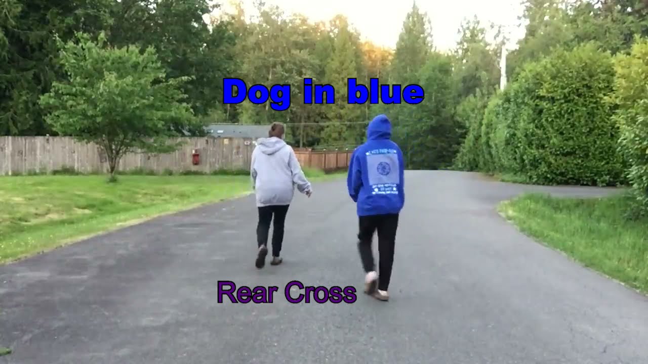 Beginning Agility - Front Cross, Blind Cross, Rear Cross - Human Edition