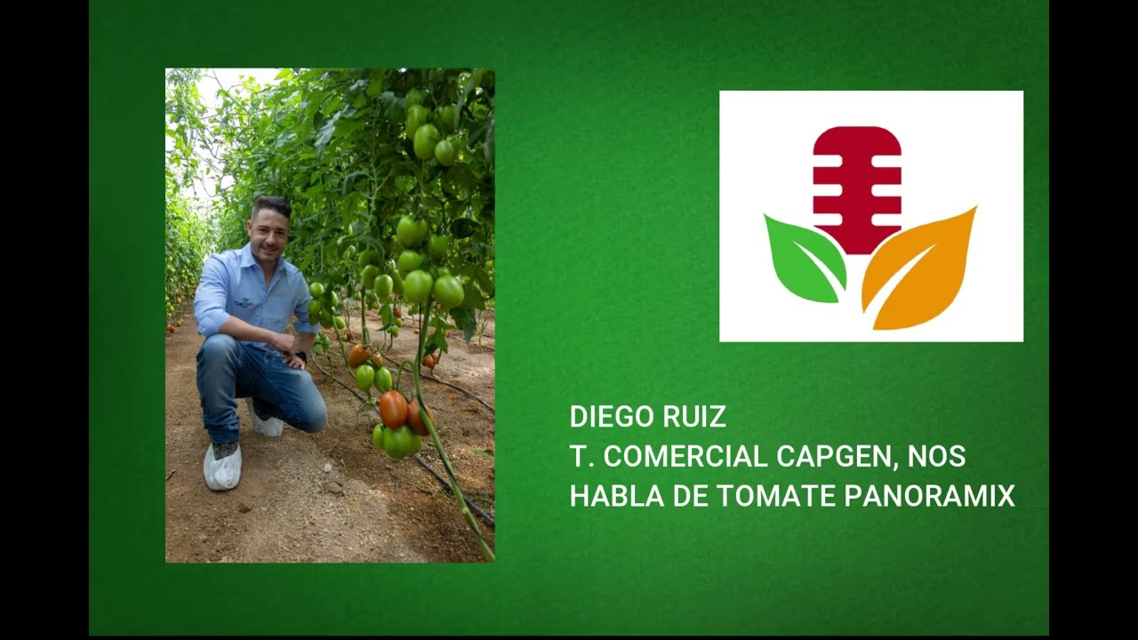 DIEGO RUIZ T  COMERCIAL CAPGEN, NOS HABLA DE TOMATE PANORAMIX