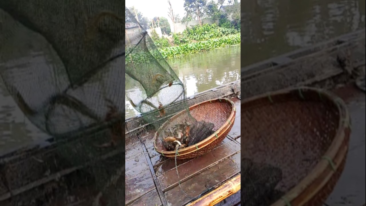 amazing fishing video #short video #long video