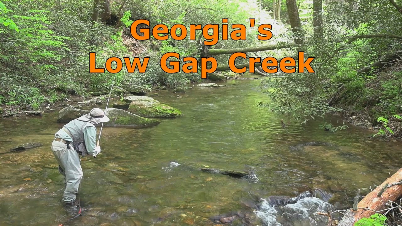 Fishing Low Gap Creek, Georgia