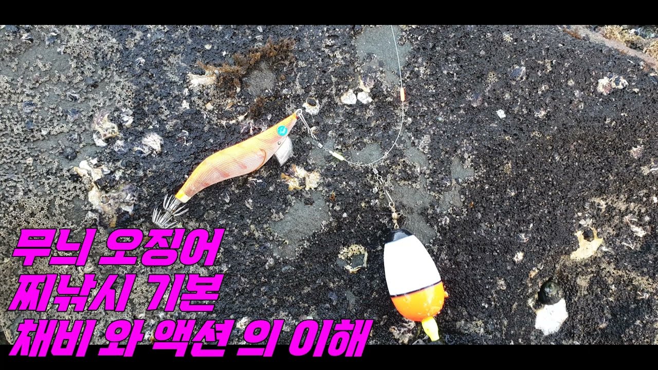 무늬오징어 찌낚시 기본채비 와 액션의 이해 , Squid fishing using a float #무늬오징어 #무늬오징어찌낚시 #뉴질랜드무늬오징어 #뉴질랜드낚시 #squid