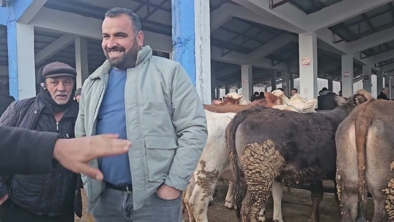 KAHRAMANMARAŞ GÖKSUN HAYVAN PAZARI17 Mart 2026