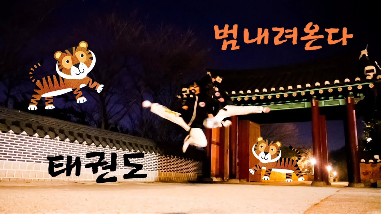 범내려온다X인하북태권도장X인천중구[태권체조] 'Tiger is coming' Taekwon dance ver.