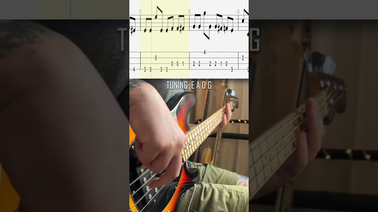 🎵 Iconic bass lines: Muse (Chris Wolstenholme 🎸) &ndash; Supermassive Black Hole #bass #muse