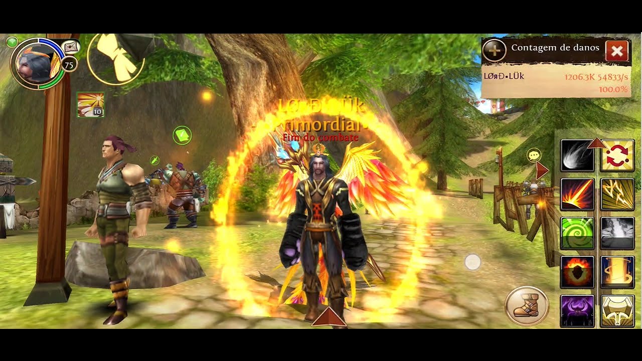 Order & Chaos Online - The E.N.D