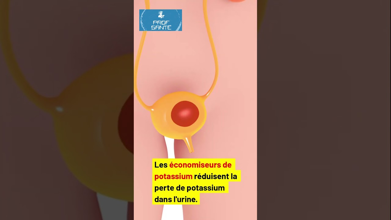 Diur&eacute;tiques : Comprendre leur r&ocirc;le en 60