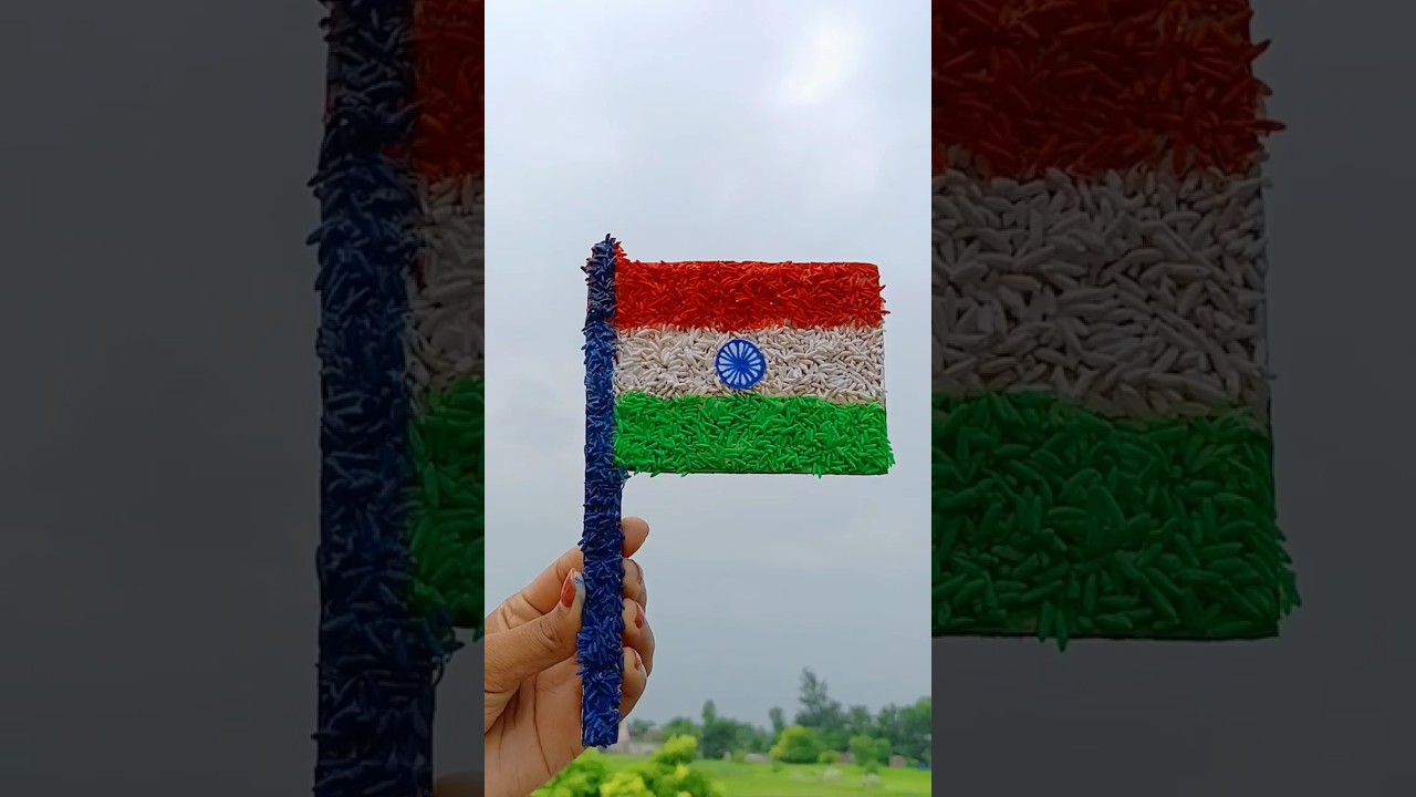 DIY Indian flag 🇮🇳 from rice |Indian flag #shorts #youtubeshorts #viral #india #diy #army #trending