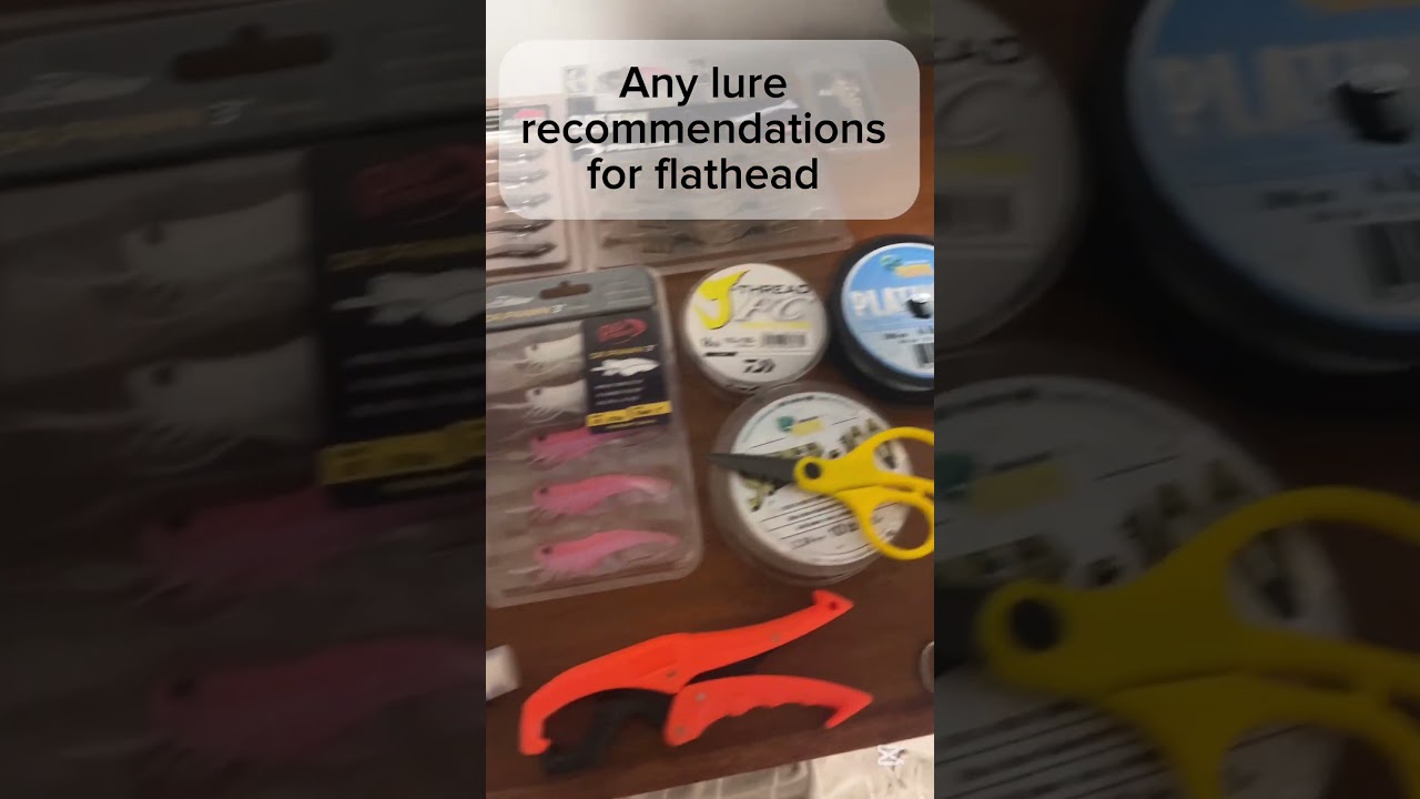 Any lure recommendations￼ for flatties?? (That I don&rsquo;t have)??#fishing #lures #flatties