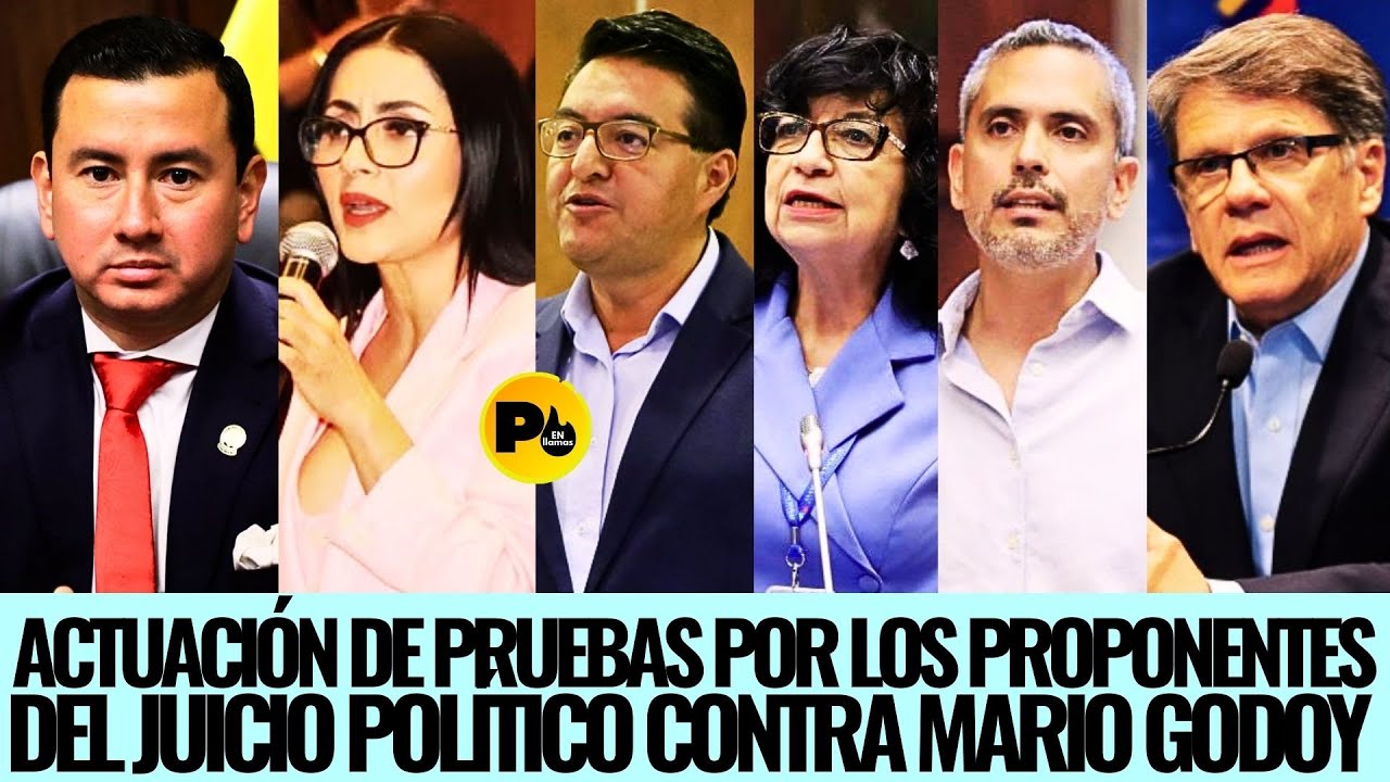 Continuación. Comparecencia de los proponentes Viviana Velóz, y parte cuestionada Mario Godoy