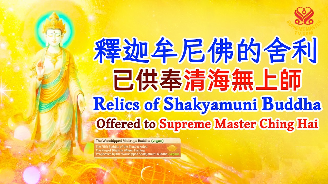 印證彌勒佛已降世🧘見證摩訶迦葉獻上佛陀衣缽｜Maitreya Buddha’s Descent Confirmed: Mahākāśyapa Offers Buddha’s Robe and Bowl