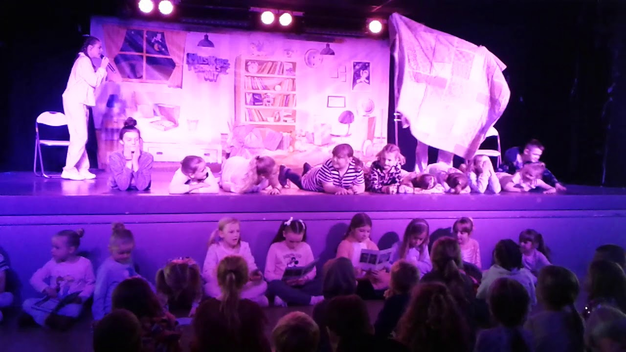 Musikids bluedolphin haven