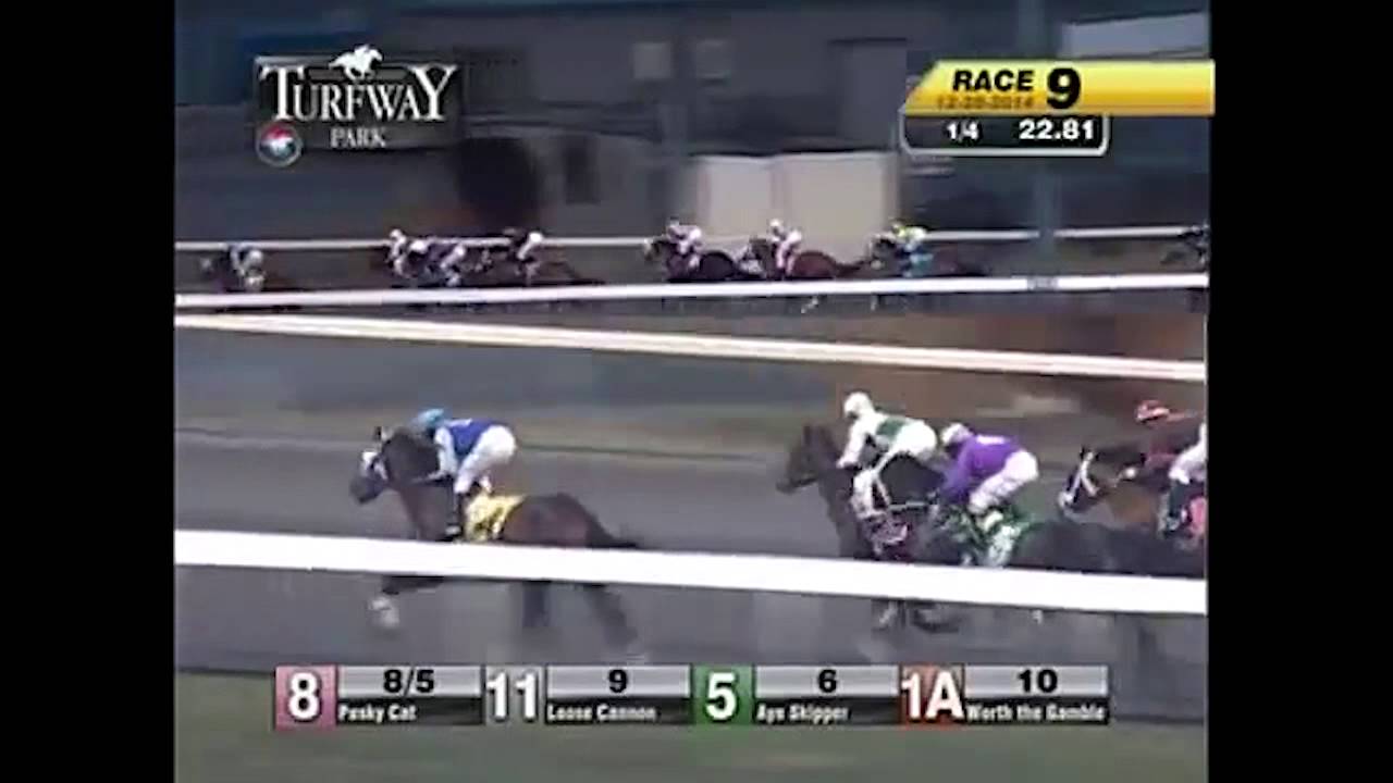 Run Happy's Debut at Turfway Park