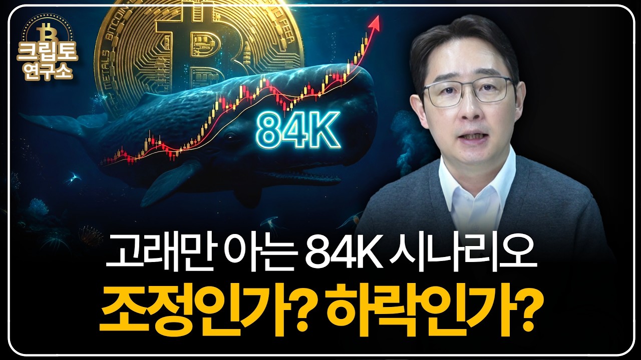 비트코인 84K 간다? 고래들이 맞춘 '비트코인 가격 리셋'의 실체 (TOP10 코인 리포트 증정)ㅣ박작가의 크립토 연구소