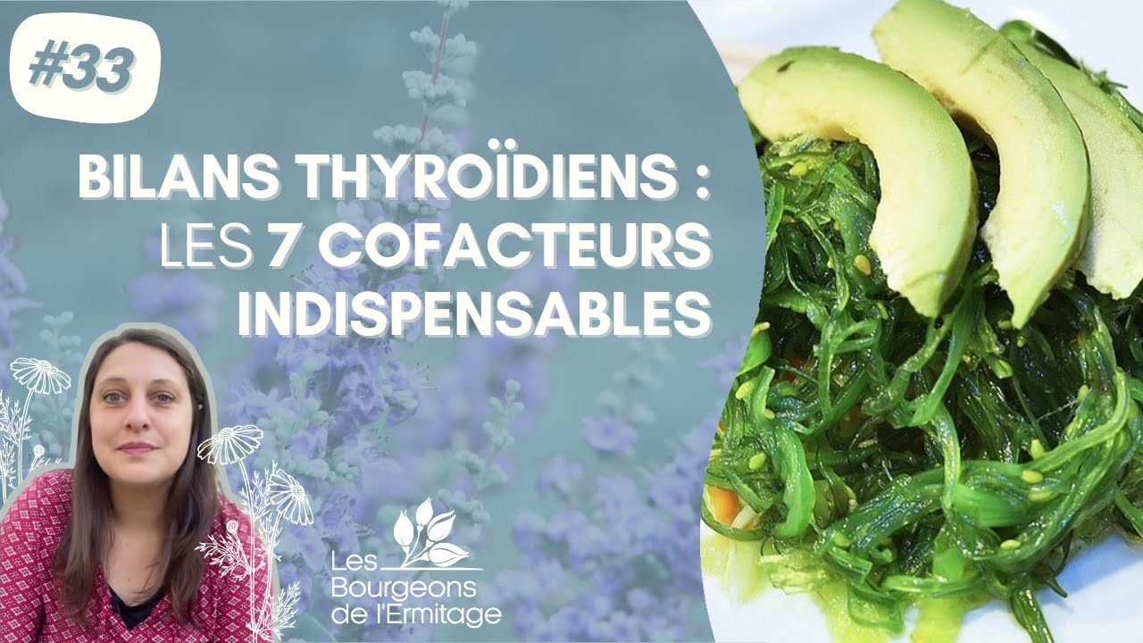 Bilans thyro&iuml;diens : les 7 cofacteurs indispensables (iode, fer, zinc, vitamine D, B12, magn&eacute;sium)