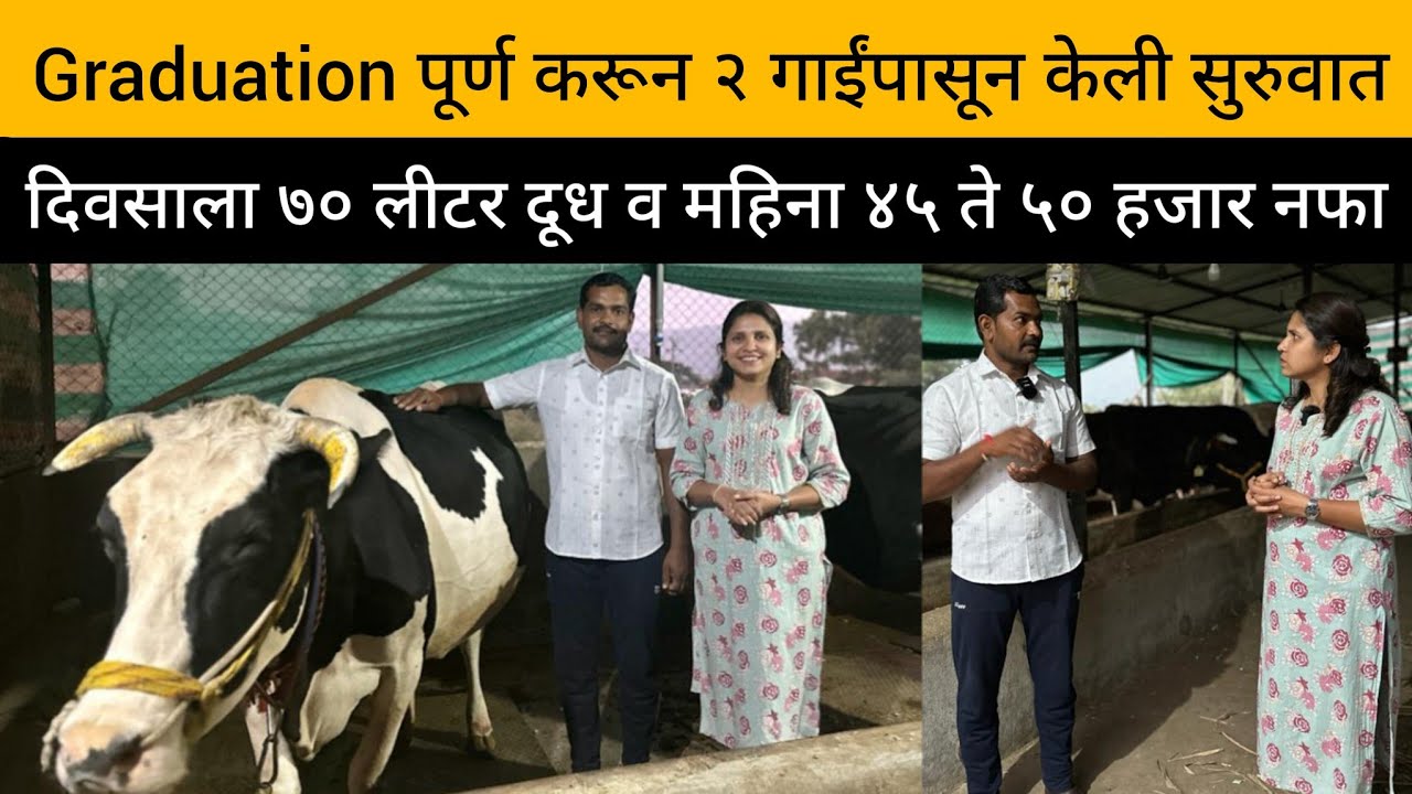 गाई पालन व्यवसाय | दुग्ध व्यवसाय | Cow Farming | गाईंची निवड | बंदिस्त गोठा बांधणी #cowfarming