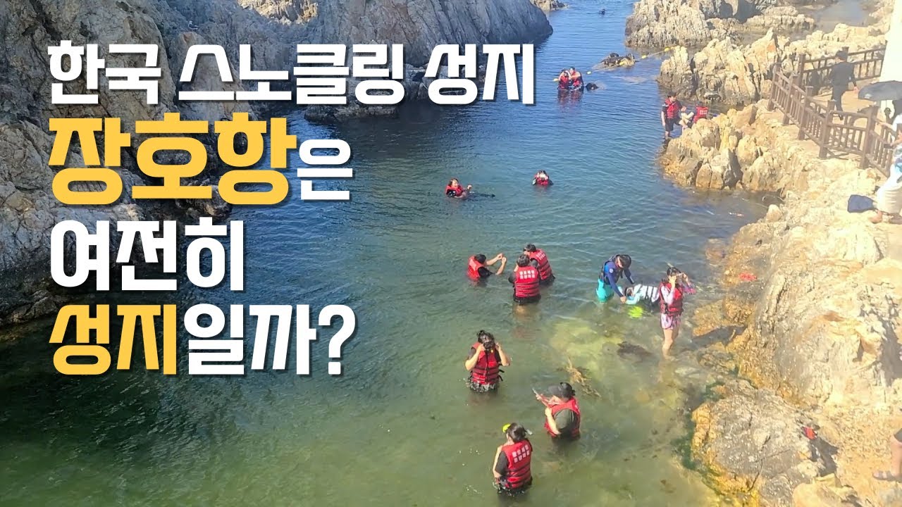 스노클링 성지 장호항 얼마나 투명할까 - 한국 스노클링(5)