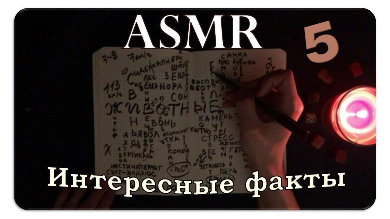 АСМР Интересные факты о животных (pt. 5) ASMR Whispering Random Facts For Your Sleep