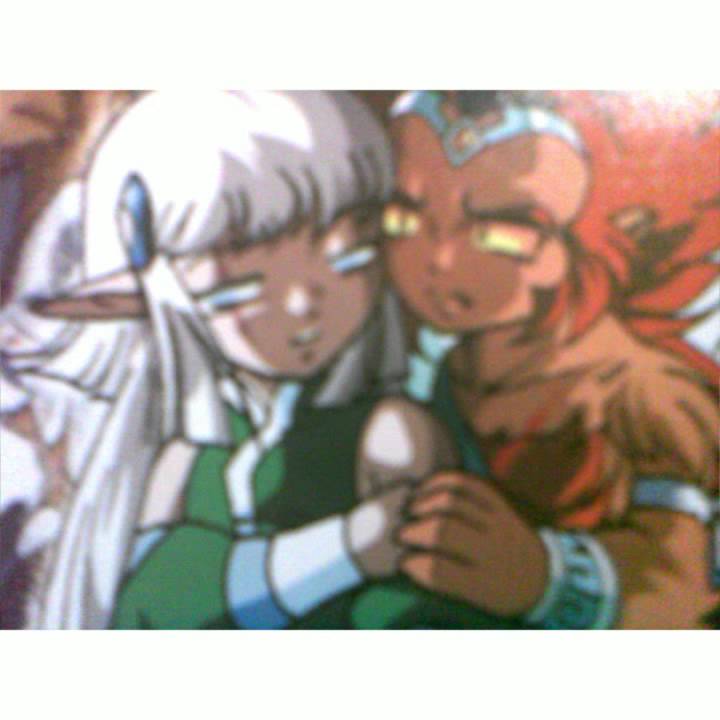 Gryf et shimy leur histoire