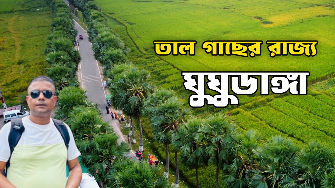 Ghughudanga || ঘুঘুডাঙ্গা গ্রামের তালগাছ || ঘুঘুডাঙ্গা নিয়ামতপুর নওগাঁ
