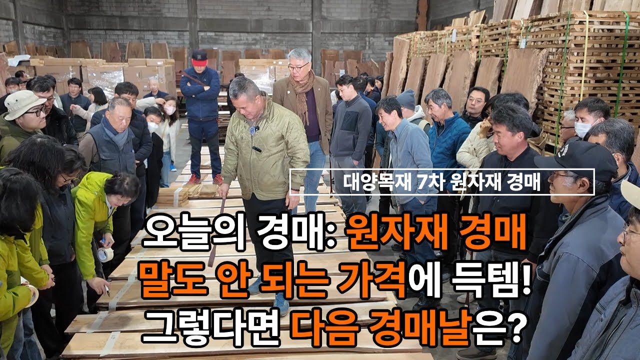 대양목재 7차 원자재경매 행사_150만 원 나무가 10만 원으로 변하는 기적 #우드슬랩 #식탁테이블 #식탁테이블 #경매 #원자재 #레인트리 #부빙가 #대추나무 #wood #원목