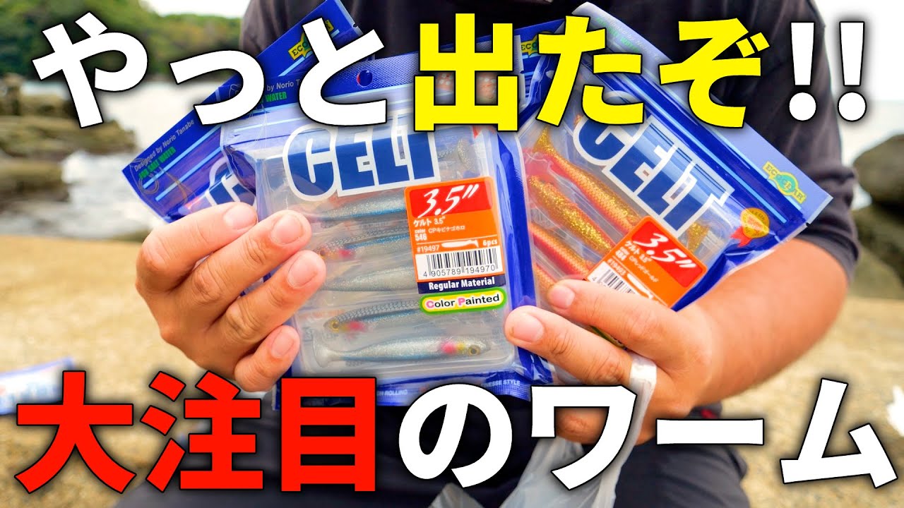 来た！前から気になっていたワームがついに発売されたので、ダッシュで買いに行ってきました！