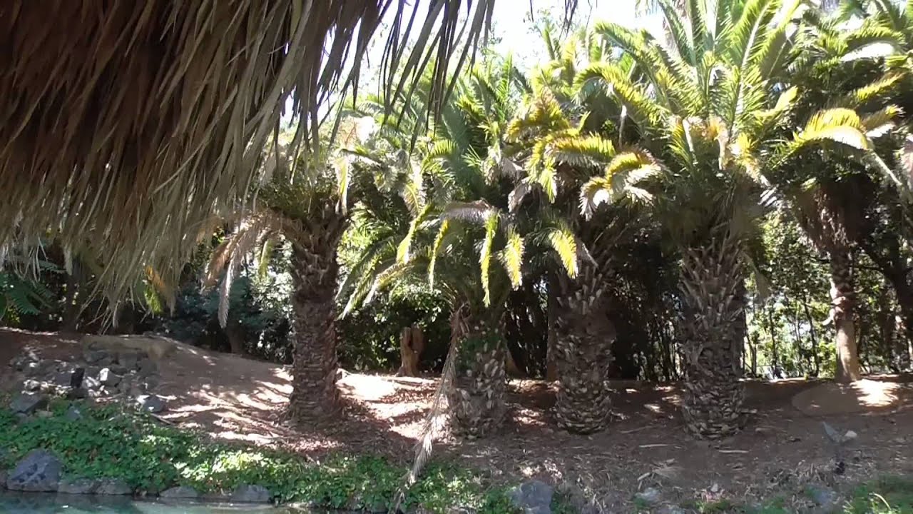 port de drassana  Portaventura