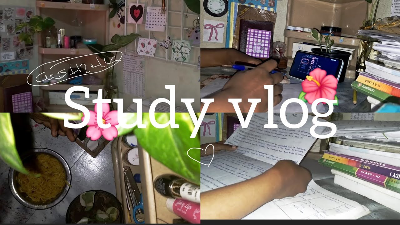 Study vlog|#aestheic #study #studymotivation #studyvlog #studywithme #productivevlog #studytips 