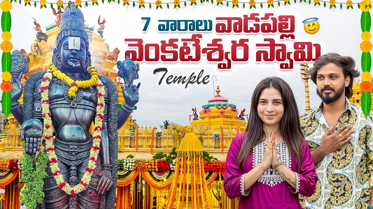 వాడపల్లి వెంకటేశ్వర స్వామి  🙏🏻 TEMPLE #nanipinky #nanipinkyofficial #nanipinkyreels