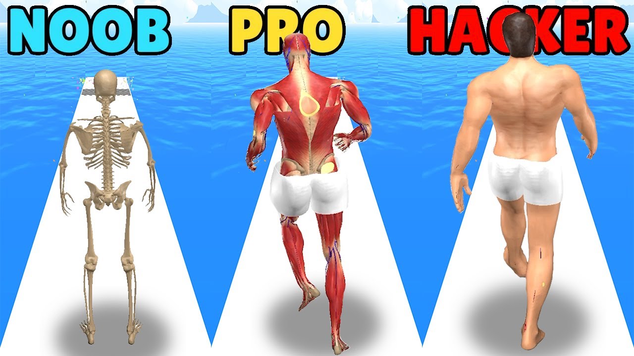 NOOB vs PRO vs HACKER in Human Run