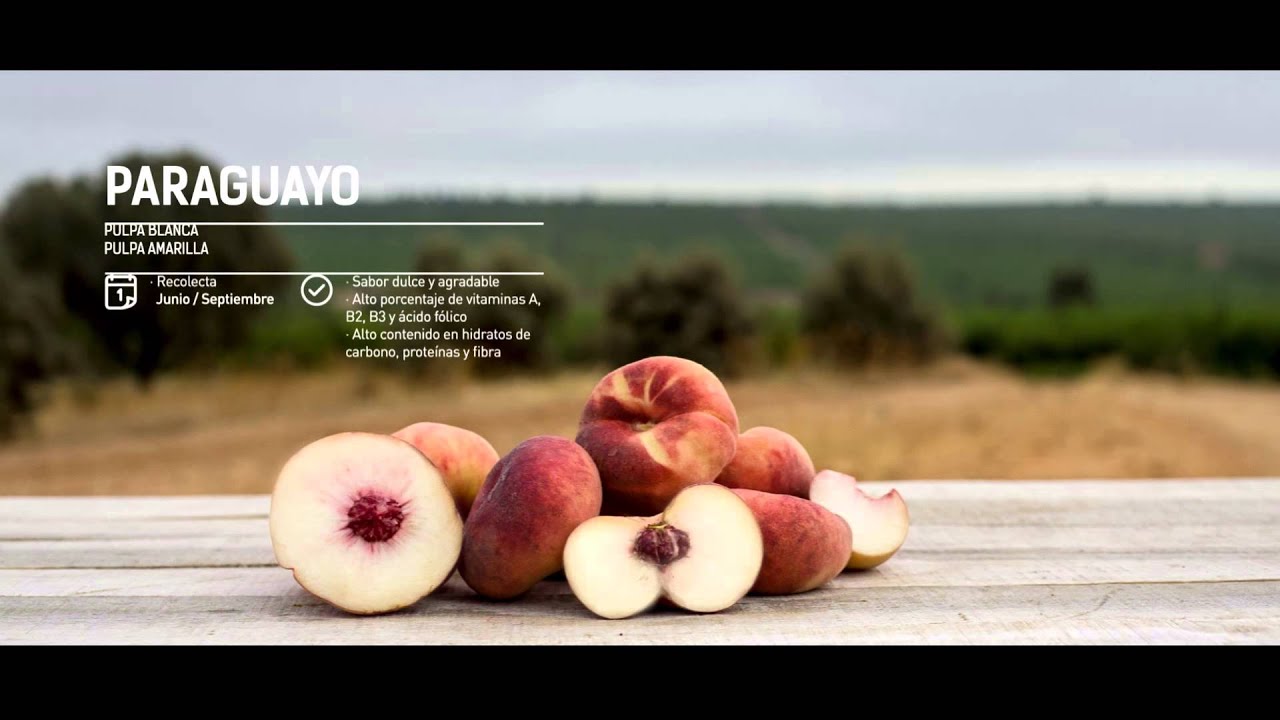 Video corporativo Sol de Badajoz. By El Cuartel