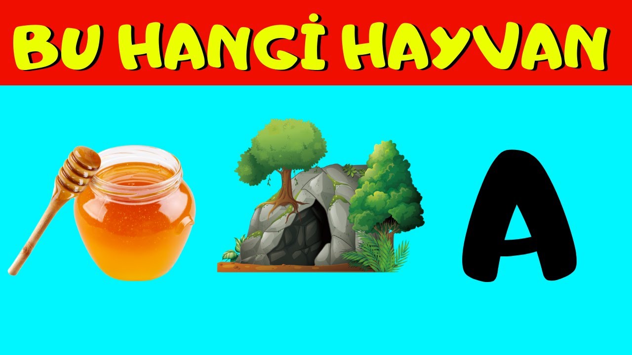 BU HANGİ HAYVAN ? / RESİMLİ BULMACA HAYVAN RESFEBE ÖRNEKLERİ