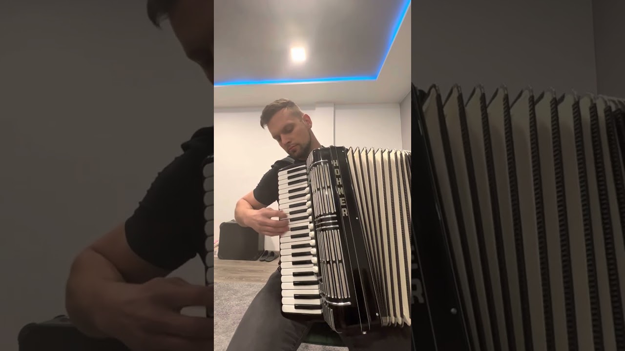 Hohner Morino IV N model