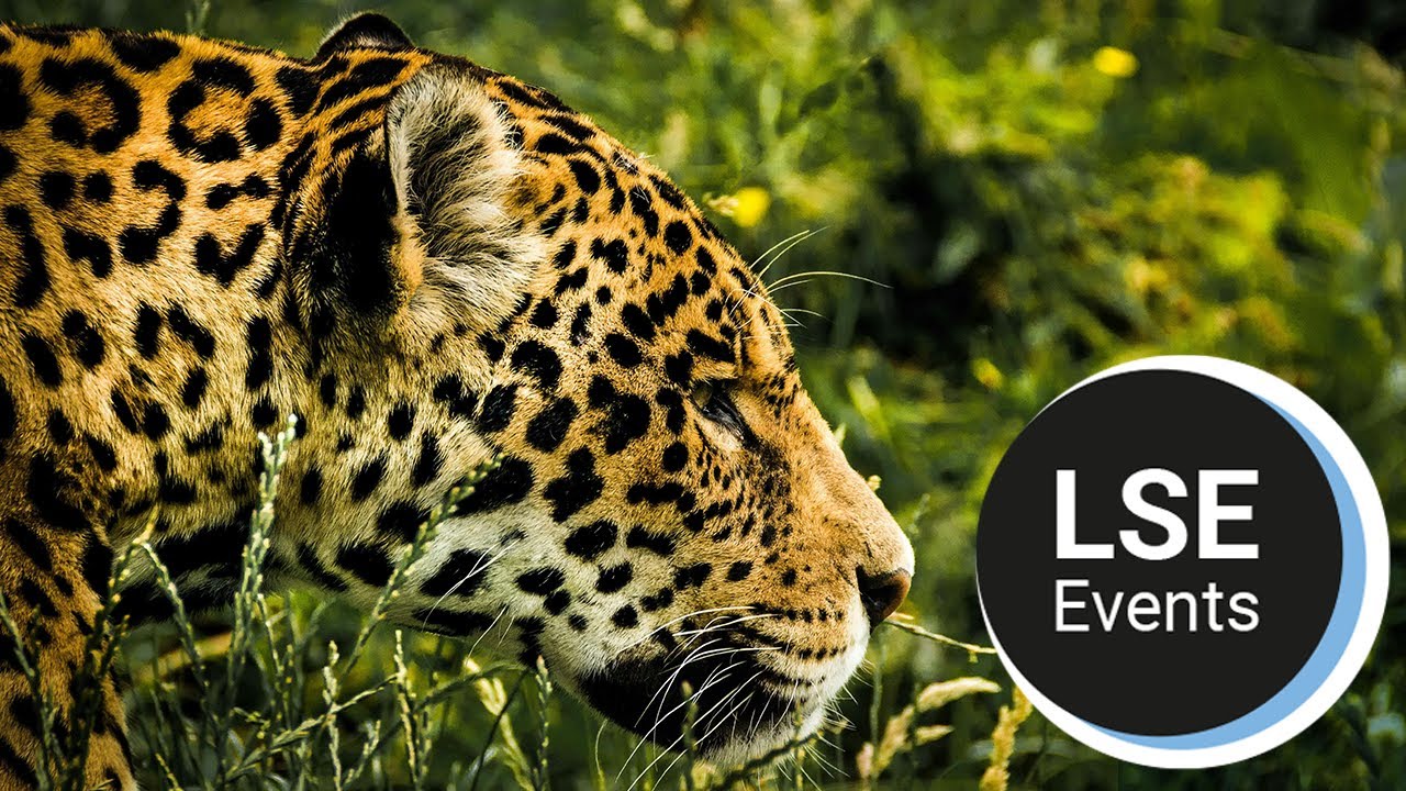 Investing in our future: COP30 and the sustainable growth agenda | LSE Event