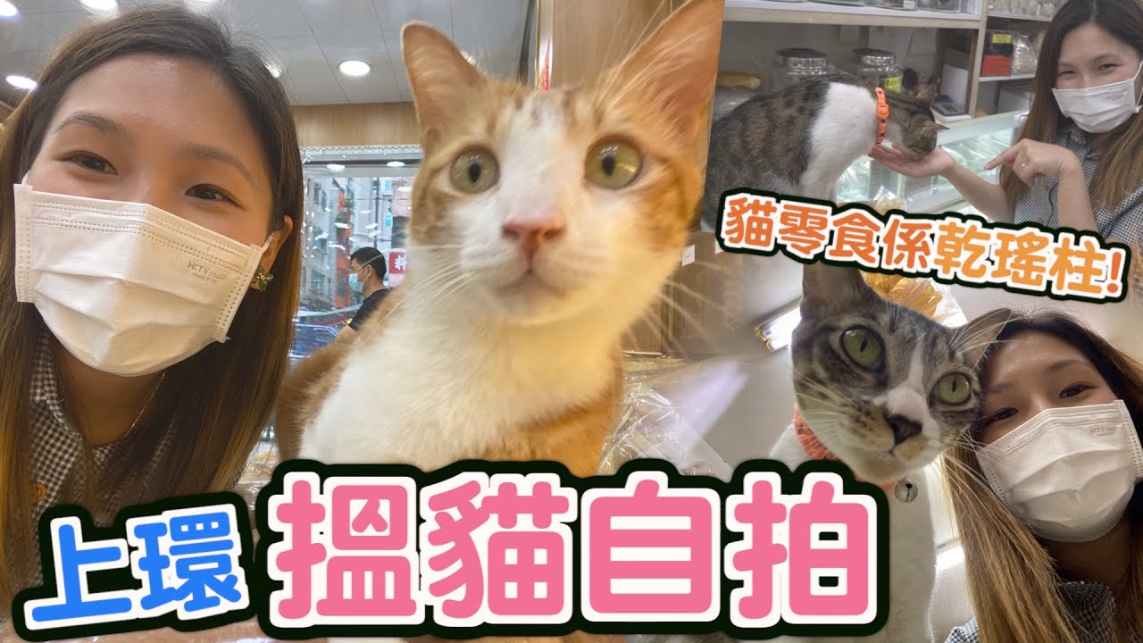挑戰影貓！到上環海味街搵10隻貓貓自拍😼超嗲超可愛！到逾60年臘味店買臘腸 ｜文迪mandic｜VLOG｜